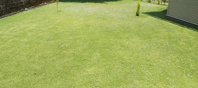 2019-05-25-0002.JPG
