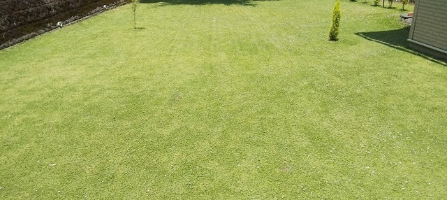 2019-05-25-0003.JPG